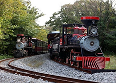 歐洲森林英式小火車