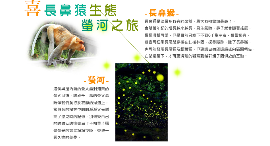 長鼻猴